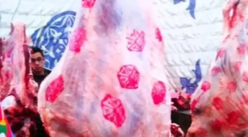 420 جنيها للضأن.. تحركات جديدة في أسعار اللحوم داخل أسواق مطروح اليوم